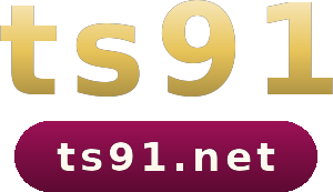 ts91 โลโก้
